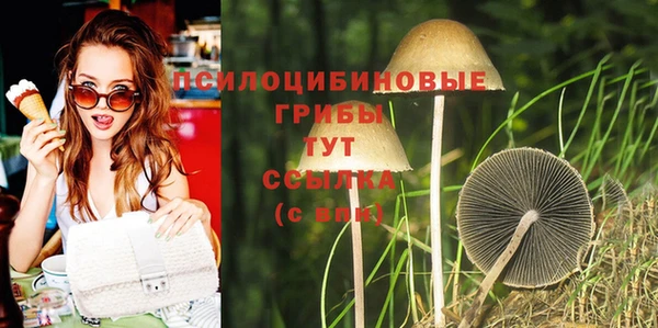 экстази Карпинск