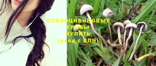 не бодяженный Киренск