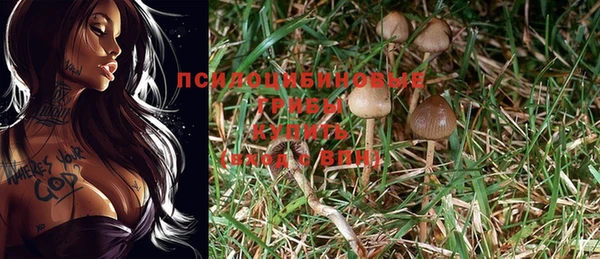 не бодяженный Киренск